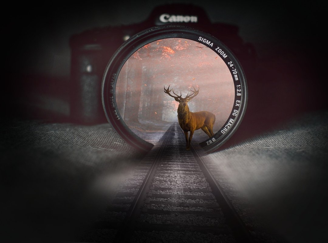 Washing Help Livpristwash