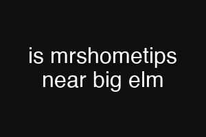 is mrshometips near big elm