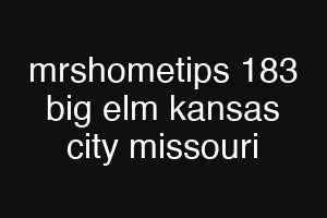 mrshometips 183 big elm kansas city missouri